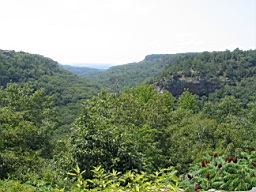 White River in Arkansas 170.jpg